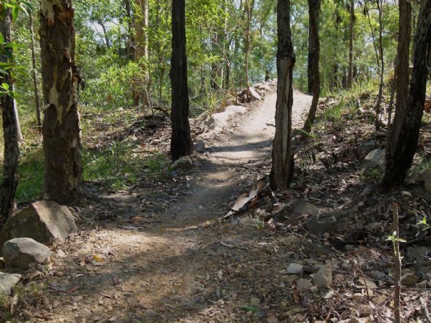 <p>Three Hills new trail January 2015</p>