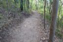 <p>What we are trying to end up with. Rolling contour trail</p>