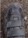<p>An insect that kept landing on these shoes; I think he liked the dots on the straps</p>