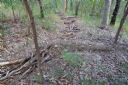 <p>Once a trail is no longer in use it must be closed. An effort must be made to reclaim the forest. This pic shows an old trail closed with logs, litter and drainage to slow and divert water from the erosion-prone, fall-line trail</p>