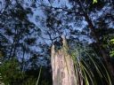 <p>The old and the new and a beautiful view</p>