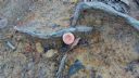 <p>New life after torrential rain</p>