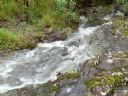 <p>When the rain falls</p>