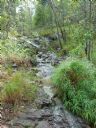 <p>A seasonal cascade</p>