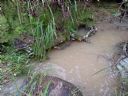 <p>Happy water</p>