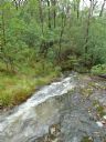 <p>Summer rains flow over rare slabs of rock</p>