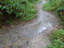 <p>Rolling grade dips in a very wet area capture water flowing from above and below the surface but keep the substantial water flow thin and slow, avoiding unnecessary erosion</p>