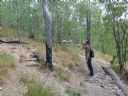 <p>Using a clinometer (inclinometer) an old, closed trail measures a grade of 38%, straight-down-the-falline where it intersects a new trail</p>