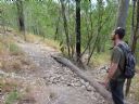 <p>New trail route: the clinometer says 9% from this crossing of an old trail and over the next spur</p>