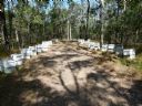 <p>Bees are kept in the park</p>