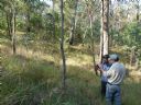 <p>Ranger John Kennedy and Ashley Wyatt take time out of inspecting a flagged trail-route option to study pics of creek crossing technique</p>