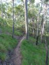 <p>Great terrain, a rolling contour trail and features to amuse. Yes please</p>