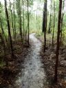 <p>Some trails are close and soft</p>