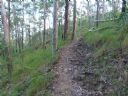 <p>18-20% trail without drainage.  Lucky the 