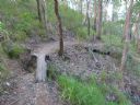 <p>A good creek crossing is a low point like this.  How you get across the creek can vary</p>