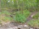 <p>A natural creek crossing</p>
