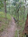 <p>Log on the outslope of the trail - why?  IMBA says don't do it.  However, on a rocky base a log can trap silt.  Here the raised tread by the log shows why.  Less erosion = sustainable trail</p>