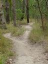 <p>Other than drainage, the only acceptable reason for trail widening is an alternate line</p>