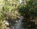 <p>Line of sight - Casuarina, October 6th 2012 before clearing the corridor.  This simple job had to be done on the way to the real project.  The first of 6 pics in this series</p>