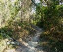 <p>Line of sight - Casuarina October 6th 2012, after clearing</p>