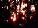 <p>The sun sets over a warm afternoon of trailwork</p>