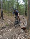 <p>Michael was new to the Nerang trail crew today.  He deserved a good ride out of the forest.</p>