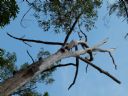 <p>Looks like he fought to the end</p>