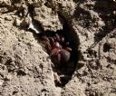 <p>It's not only hobbits that live in holes</p>