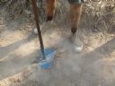 <p>Light tamping only with such dry trail</p>