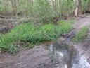 <p>If the creek near the velodrome is flowing, please go home as the trails are too wet to ride</p>