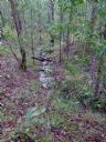 <p>Seasonal creek</p>