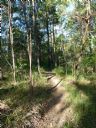 <p>Afternoon light on singletrack</p>