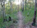 <p>Riding into the afternoon light</p>