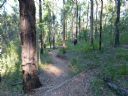 <p>Best way down in the afternoon</p>