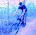 <p>The riding is unreal</p>