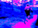 <p>This trail is unreal</p>