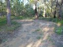 <p>QPWS are very critical of soil movement off MTB trails.  Apparently they are not when it comes off fire roads</p>