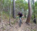 <p>780mm bars and gardening gloves - the look of Nerang love</p>
