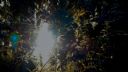 <p>Sunburst after a cloudy day</p>