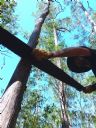 <p>The first cut is not always the deepest, but it can be the most important</p>