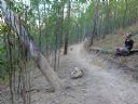 <p>Trail contemplation</p>