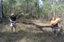 <p>The day we closed the old Three Hill second hill</p>