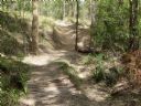<p>New, old or in between, good trail is good trail</p>