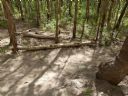 <p>This trail is being watched</p>