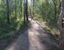 <p>Casuarina Loop new trailhead June 15th 2014</p>