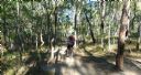 <p>Leaving Nerang via Casuarina Loop</p>