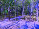 <p>A purple haze intersection</p>