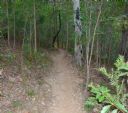<p>Exit Trail</p>