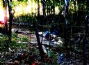 <p>Working in our own world</p>
