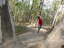 <p>Working on a jump through trees</p>